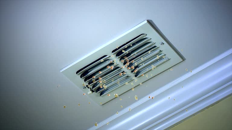 Best HVAC System Cleaning  in Delhi, CA