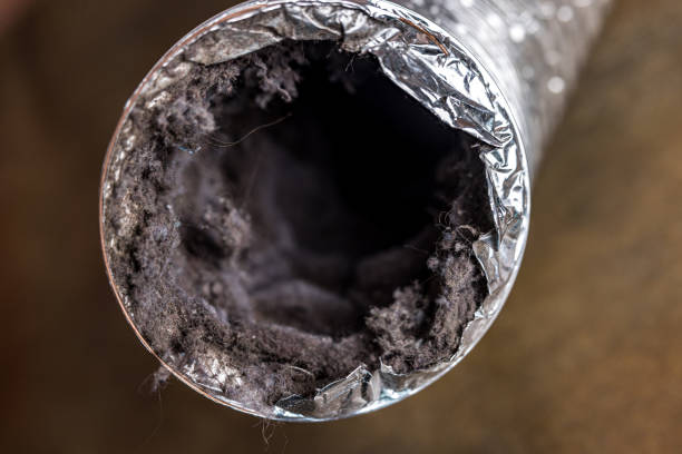 Best Ductwork Cleaning Services  in Delhi, CA